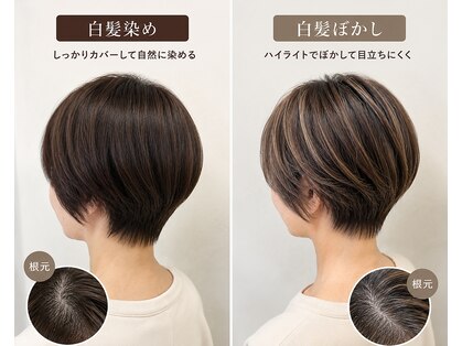 アリレイナ 葉山店(ARIREINA)の写真