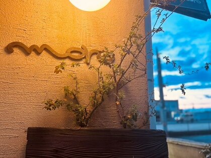 モロ(moro)の写真