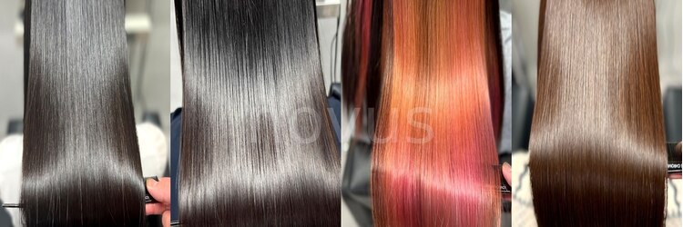 ノウス バイ イロハ 柏 92(novus by IROHA)のサロンヘッダー