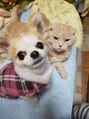 ヘアーサロン サボイア ウィズ ドッグ(SAVOIA with DOG)&nbsp;犬と猫仲良しです！
