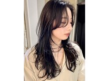 ノラキチジョウジ(NORA KICHIJOJI)