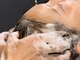 ビーダッシュアヴェダ(B dash AVEDA)の写真/半個室でリラックス。アロマの香りに誘われ、贅沢な癒しの世界に癒される。全メニューにヘッドマッサージ付