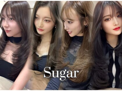 シュガー(Sugar)の写真