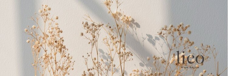 リコ 大通(lico)のサロンヘッダー