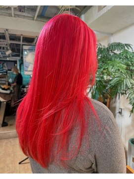 ロア インターナショナル 新宿店(LoA International) ビビットカラー