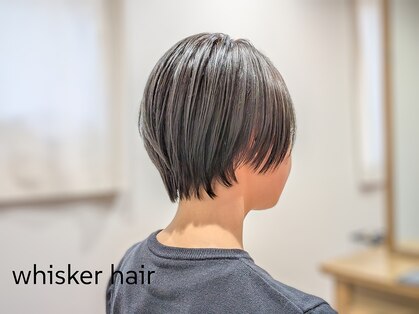 ウィスカーヘアー(whisker hair)の写真