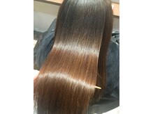 ルーツリー(Rootree)