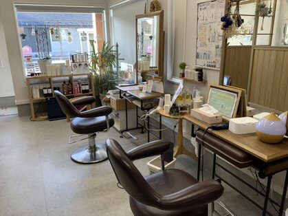 ニジイロ(Nijiiro)の写真