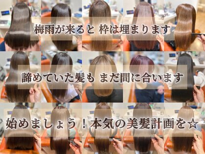 シエル 長岡市(ciel)の写真