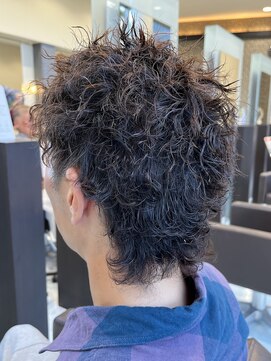エーピーヘアー シエル クローネ(AP Hair Ciel Krone) ツイスパウルフ