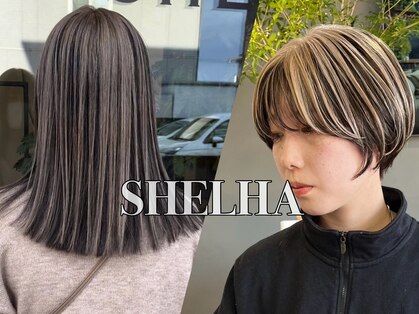 シェルハ(SHELHA)の写真