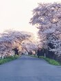 ベル(Belle) 実家は宮城県の登米市です！裏には桜並木があります(*^▽^*)