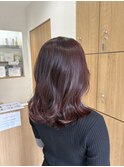 ボルドーカラー