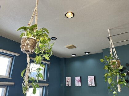 ヘアーリゾート フレグランス(Hair Resort fragrance)の写真