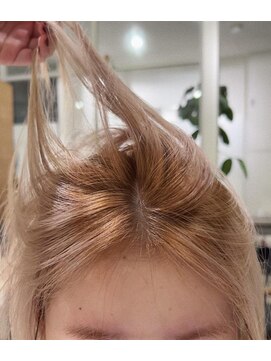 ツナグ(tsunagu) ルーツカラー