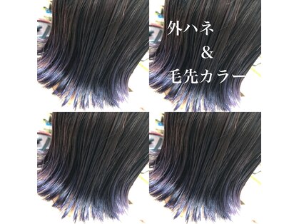 エルシャ(el-xa)の写真