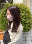 バイオレットカラー