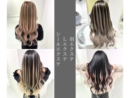 ティル(t/lu)の写真