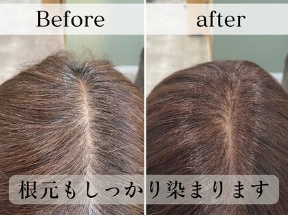 リブカラー(Lib color)の写真