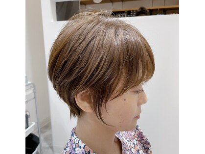 サンワンダー(SUNWONDER)の写真