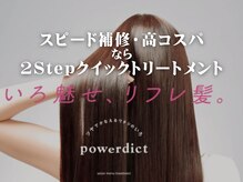 時短瞬間枝毛補修2Stepトリートメント「パワーディクト」