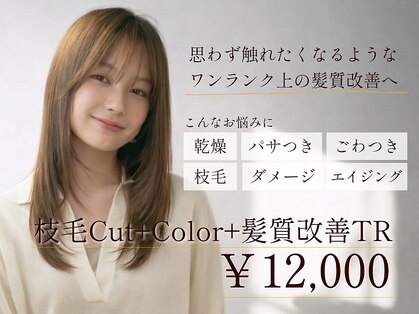 ディスコネクト(DISCO-N-NECT)の写真