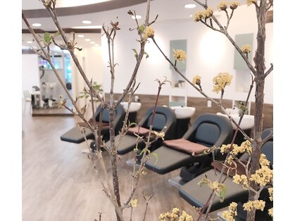 ベイス アワジ(BASE)の写真