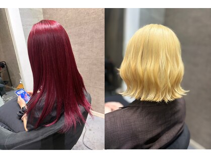シアー(SHEER.)の写真