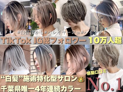 シェルヴ(XELVE)の写真