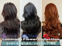 ブランコトレス 祖師谷店(BLANCO tres)の雰囲気(イルミナカラー新色も導入)