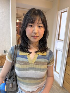 カータ(CARTA) ミディアムレイヤー