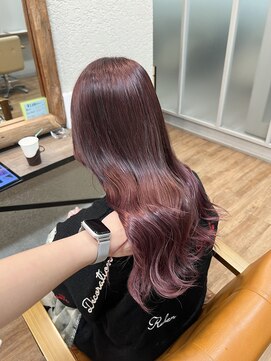 ハロ 蕨(HALO) ピンクラベンダー  【木村 波果】