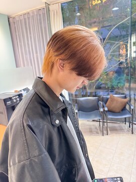 デコラ DECOR エンドカラー