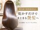 ヘアーエボリューションの写真