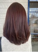 winterセミロング×カッパーブラウン