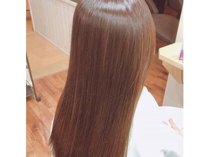 デイジー(Daisy)の写真