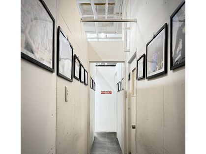 ベニス(VENICE)の写真