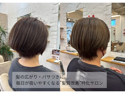 レミエ(lemie)の写真