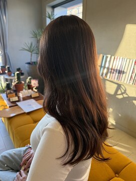 ケストラ(KESTRA) コーラルブラウン