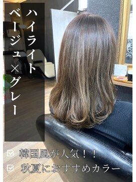 アイリス(IRIS) ハイライト