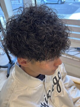 フリー(Free) プードルパーマ【平塚・秦野・二宮・小田原・茅ヶ崎】