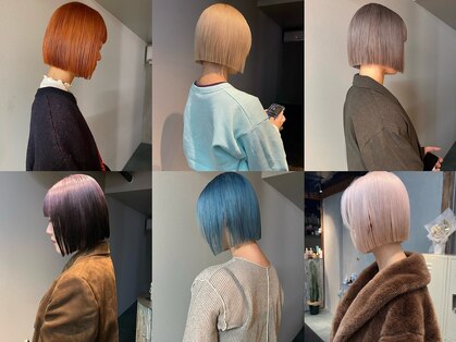 シロ(siro)の写真