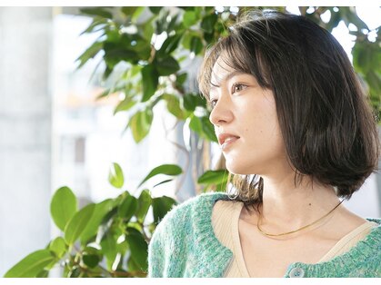 アップデート(up date)の写真