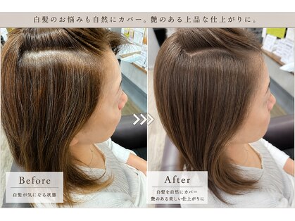 ワンス(Once)の写真