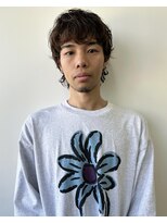 テルヴェ(Terve)&nbsp;【Terve.】ウルフパーマスタイル