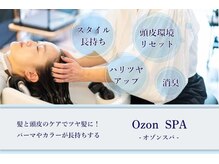 ヘアースペースバリエーションプラスワン(HairSpace Variation plus 1)の雰囲気（圧倒的リピート率のオゾンスパ！）