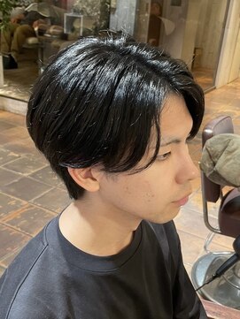 ミスト(mist) 〔mist：Yoshimi〕 カルマヘア/コンマヘア/センターパート　#225