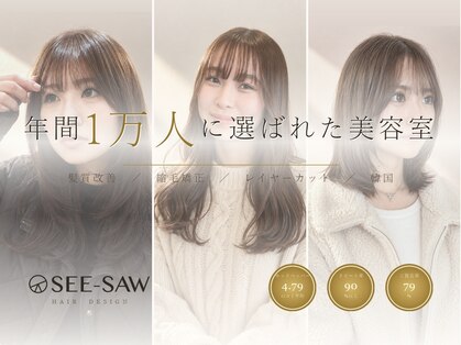 シーソー(SEE-SAW)の写真