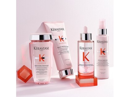 イグアス(IGUACU)の写真