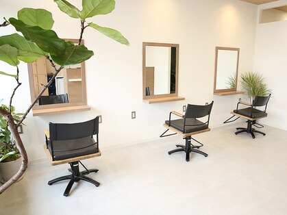 ディジェル(degel)の写真